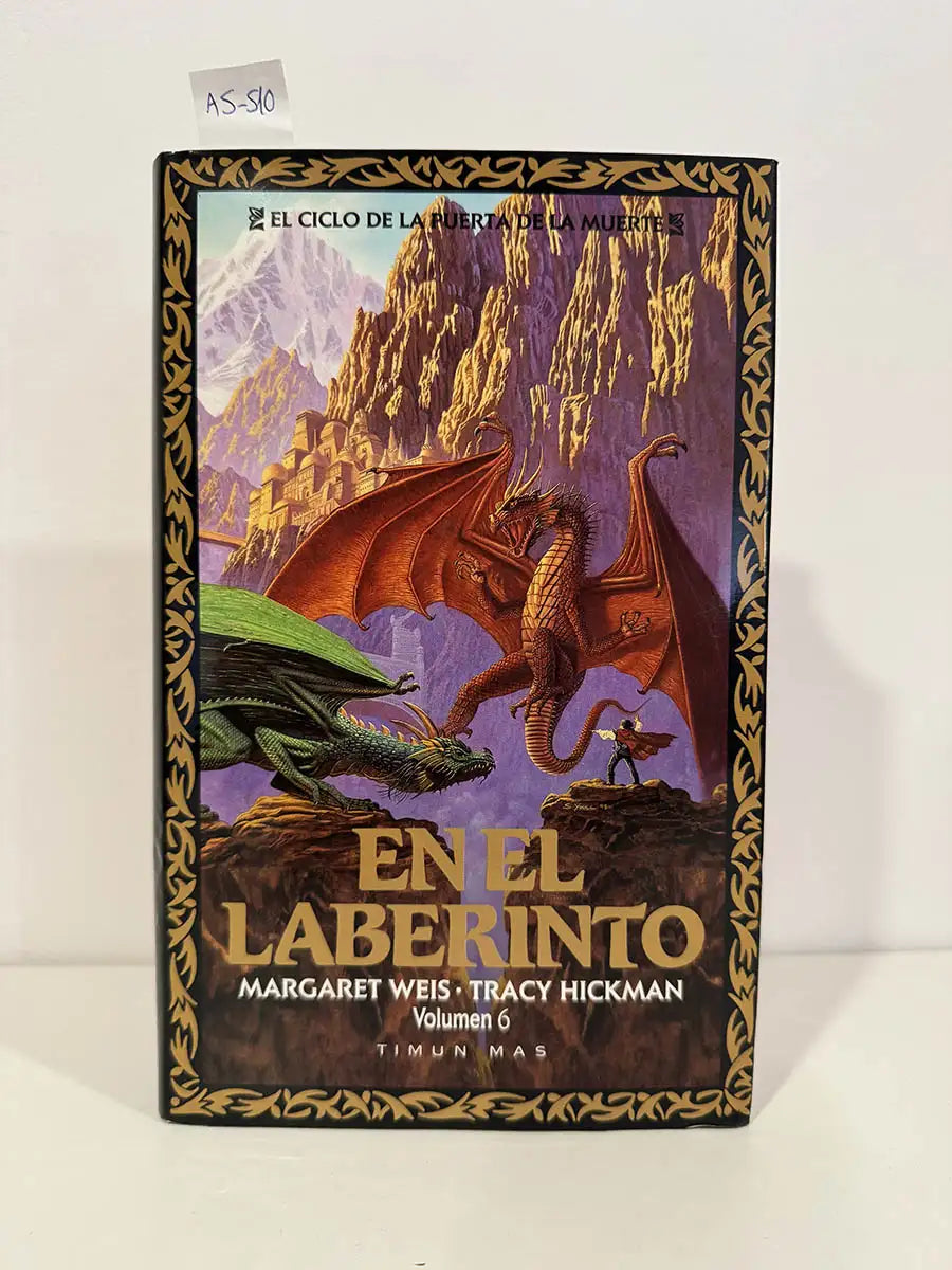 En el laberinto (volumen 6)