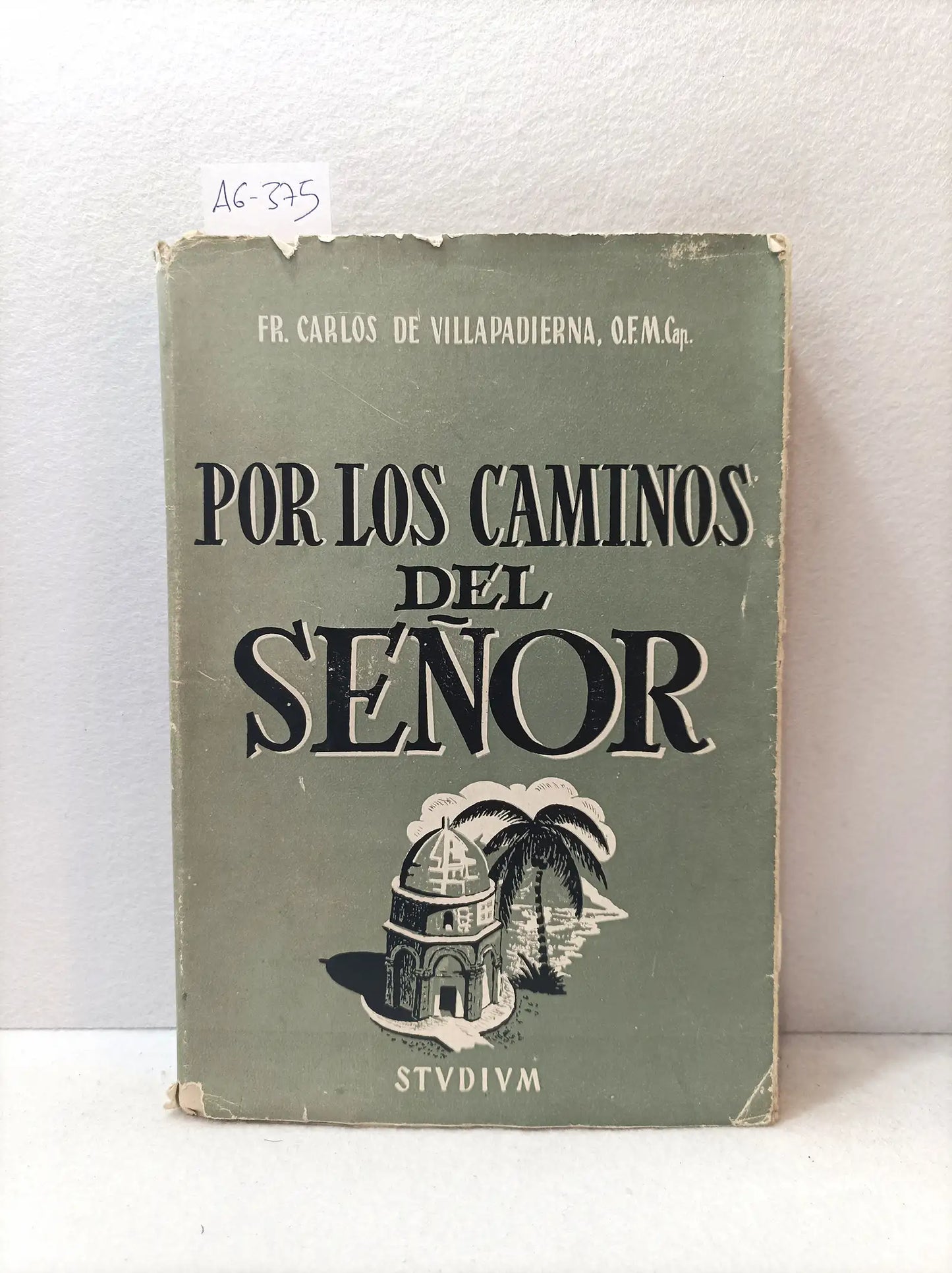 Por los caminos del señor (un viaje por el Oriente Medio).