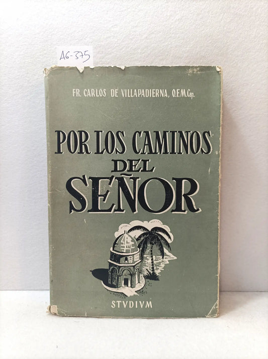 Por los caminos del señor (un viaje por el Oriente Medio).