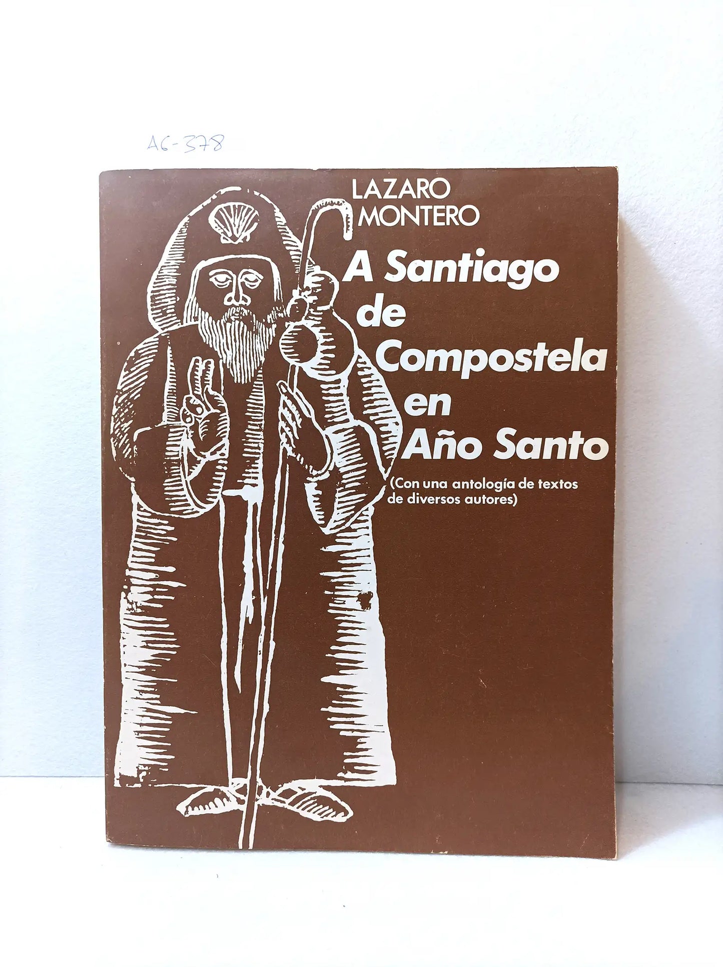 A Santiago de Compostela en Año Santo.
