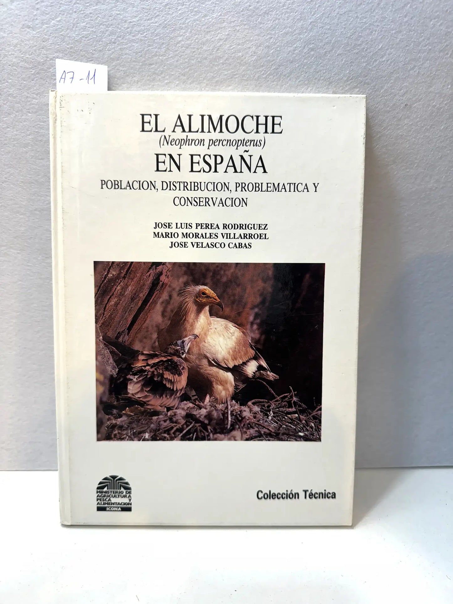 El Alimoche (Neophron perenopterus) en España. Población, distribución, problemática y conservación.