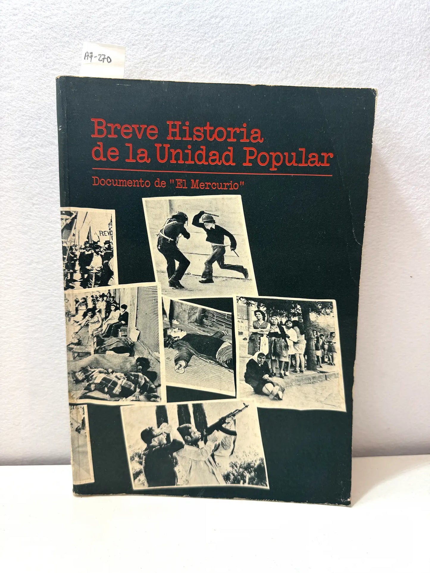 Breve Historia de la Unidad Popular.