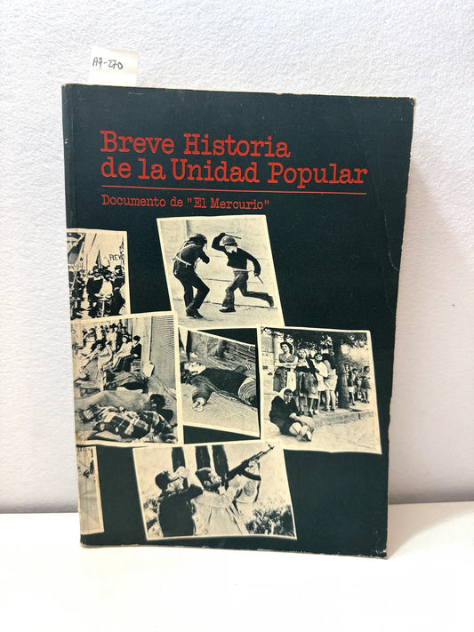 Breve Historia de la Unidad Popular.