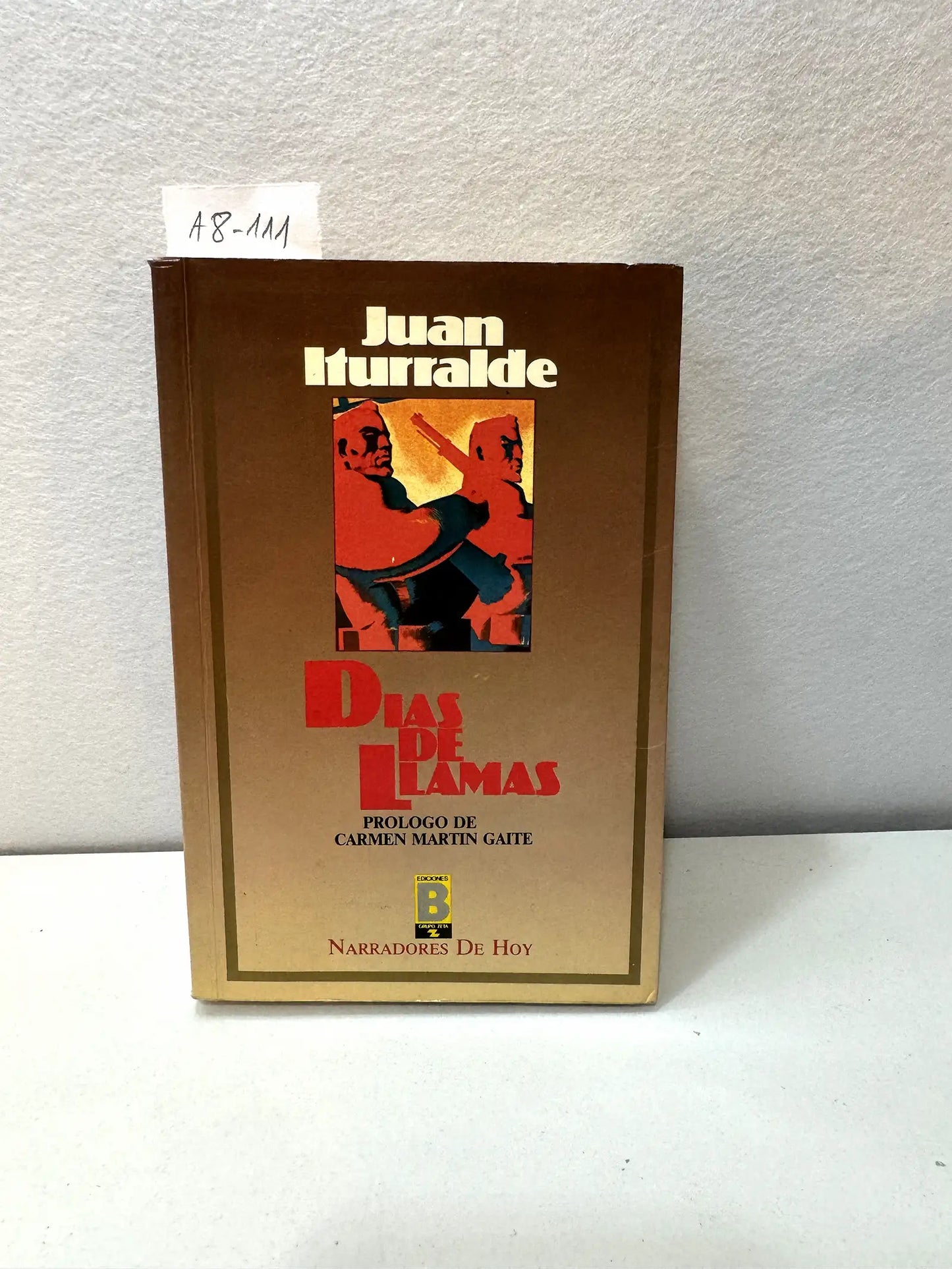 Días de llamas. Prólogo de Carmen Martín Gaite.
