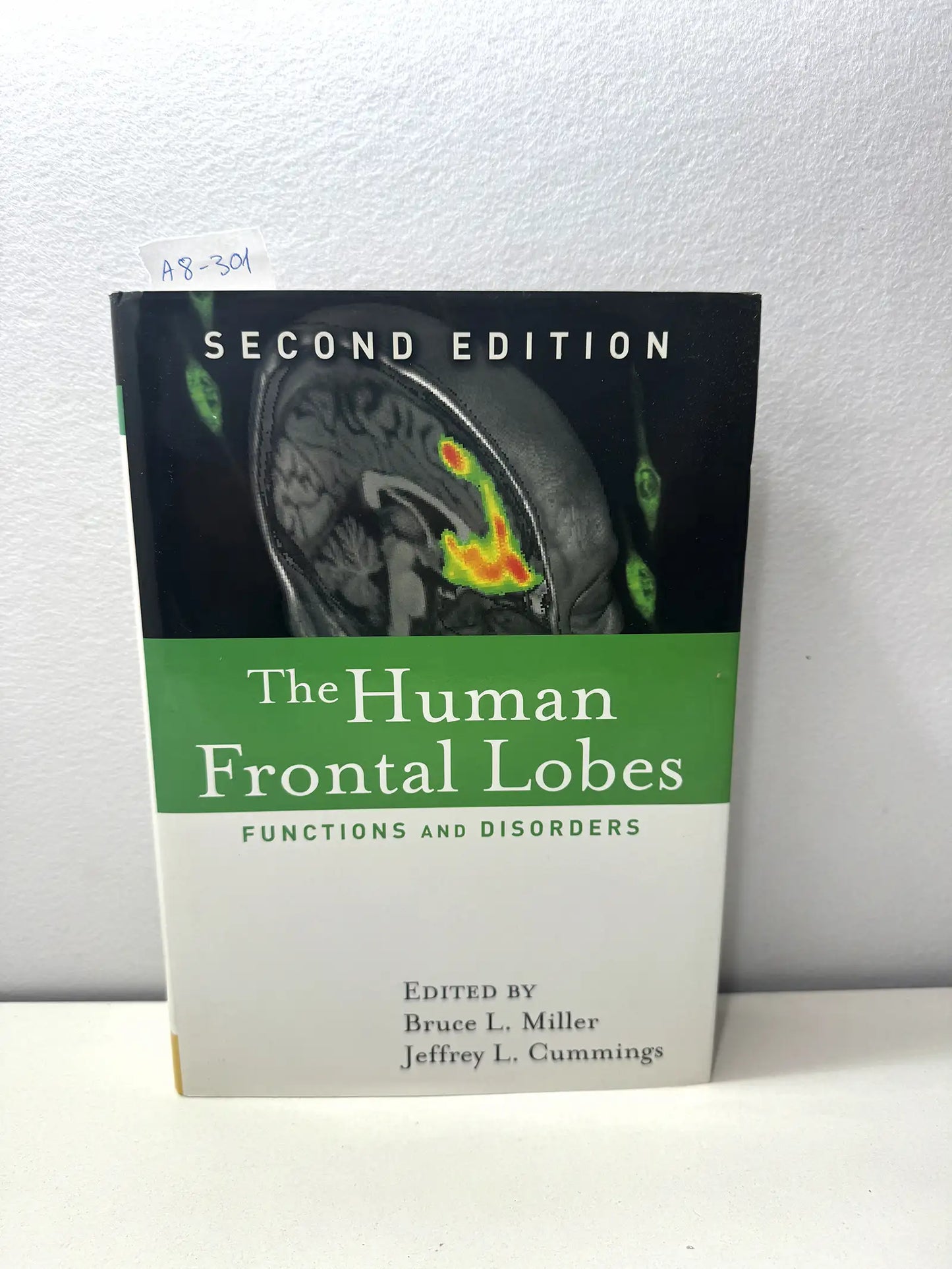 The Human Frontal Lobes.