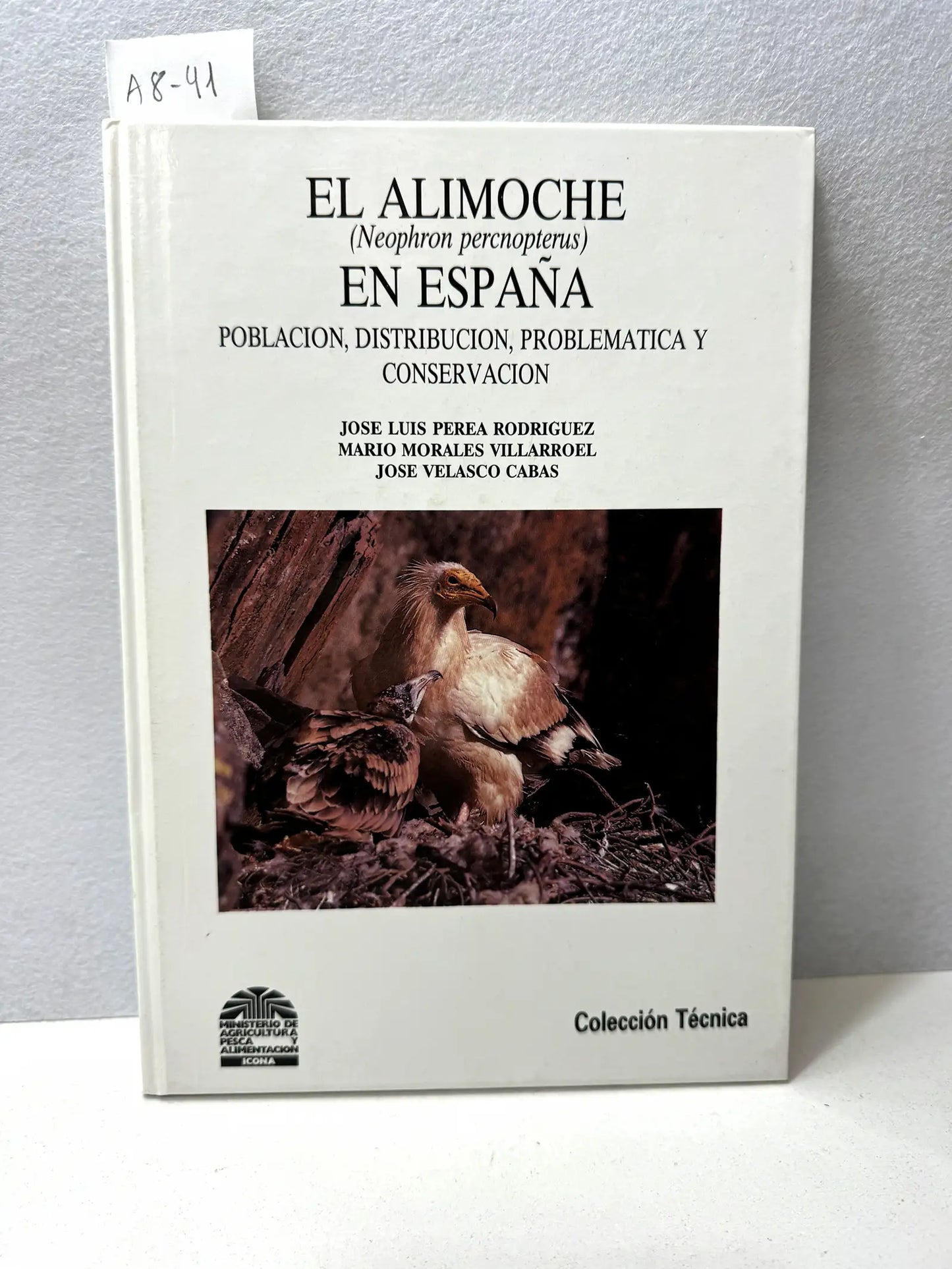 El Alimoche (Neophron Percnopterus) en España. Población, distribución, problemática y conservación.