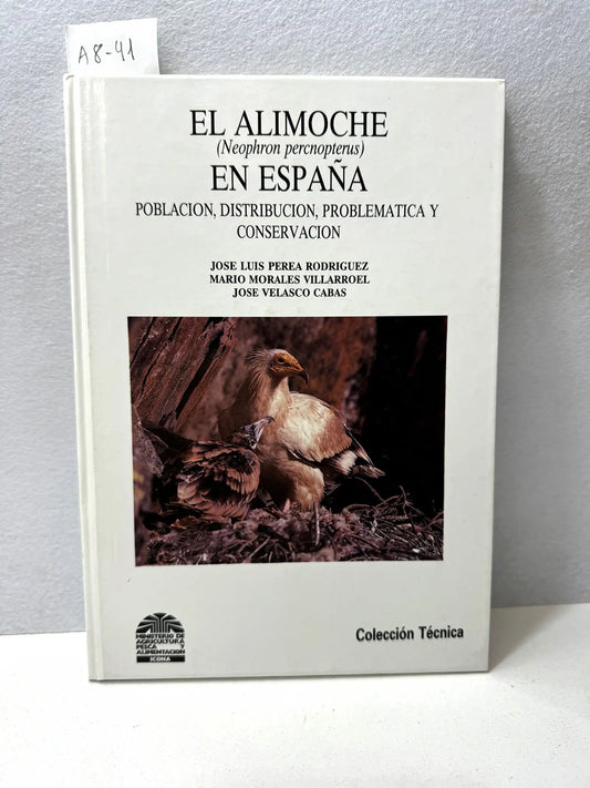 El Alimoche (Neophron Percnopterus) en España. Población, distribución, problemática y conservación.