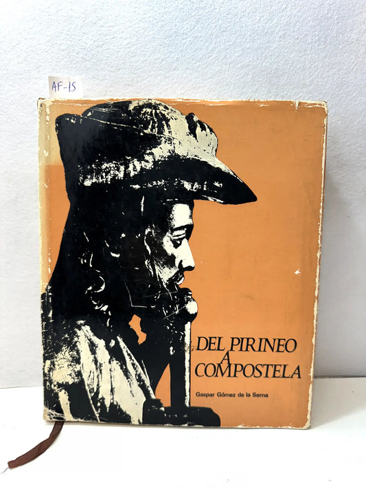Del Pirineo a Compostela.