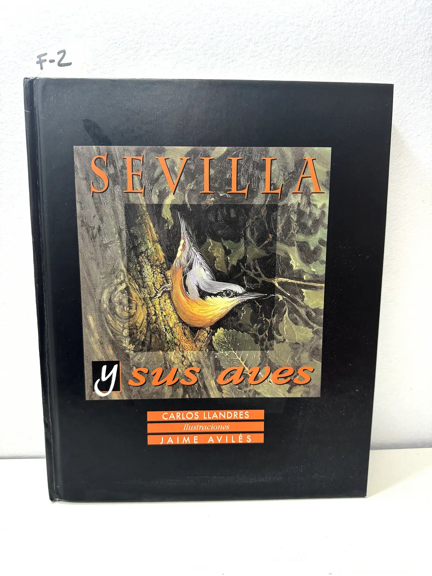 Sevilla y sus aves. Ilustraciones Jaime Avilés.