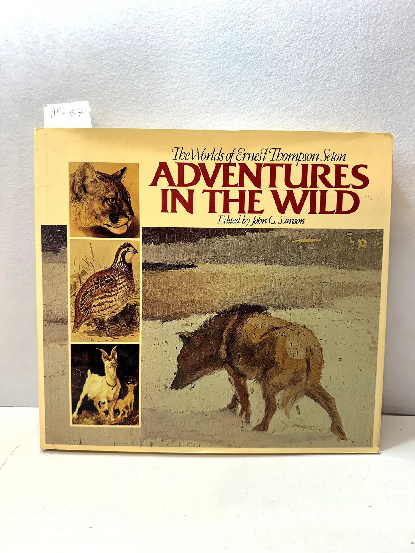 The worlds of Ernst Thompson Seton. Adventures in the wild.