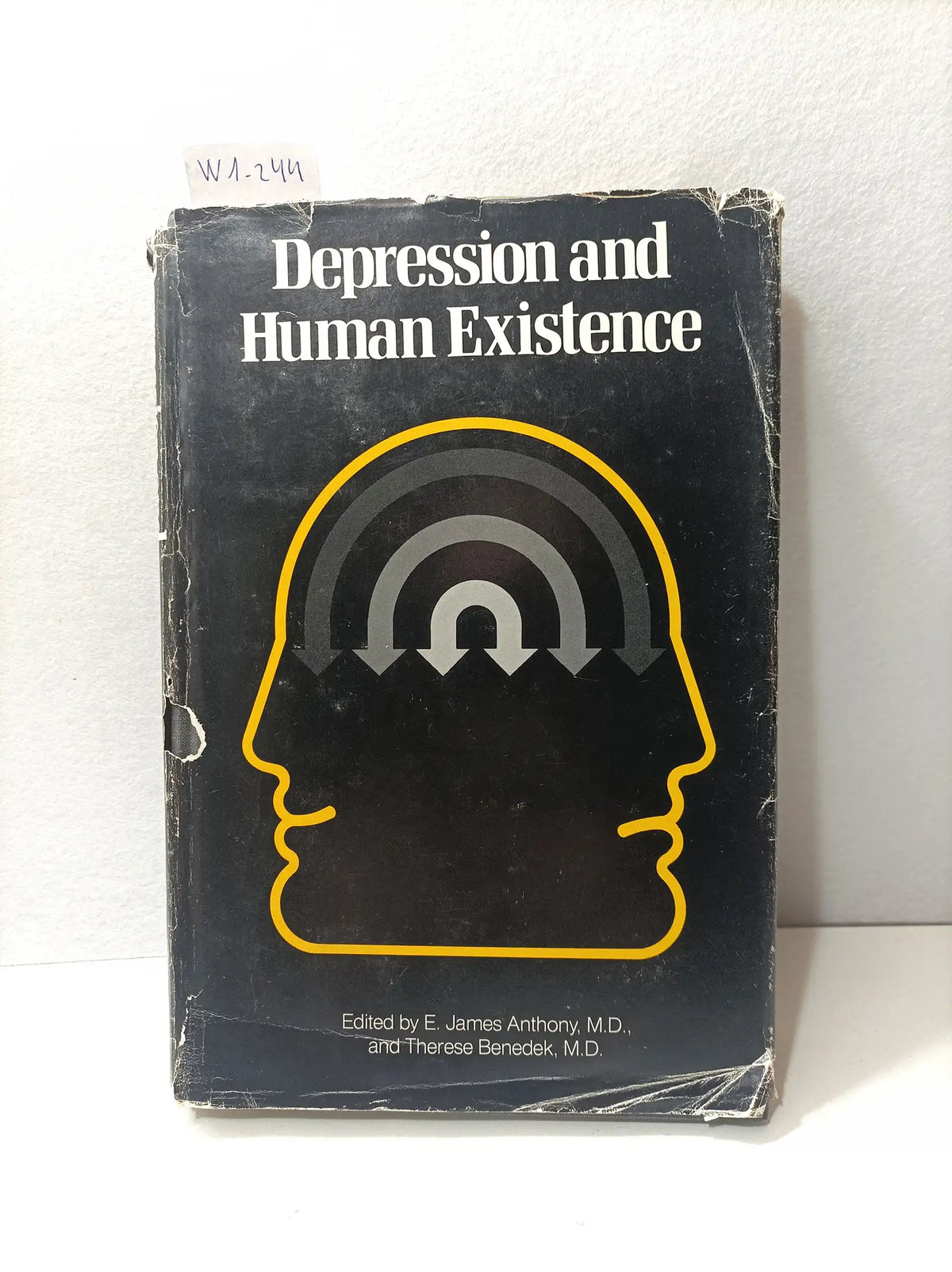 Depression human existence. — ANTHONY, E. James; BENEDEK, Therese (M. D.).