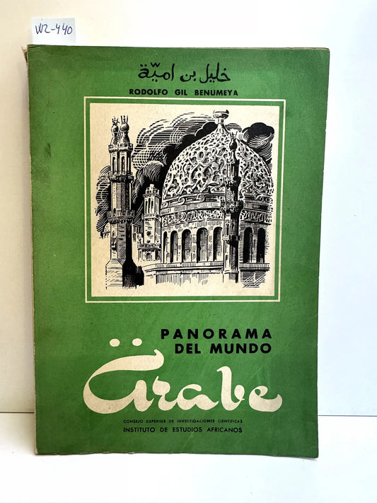 Panorama del mundo árabe.
