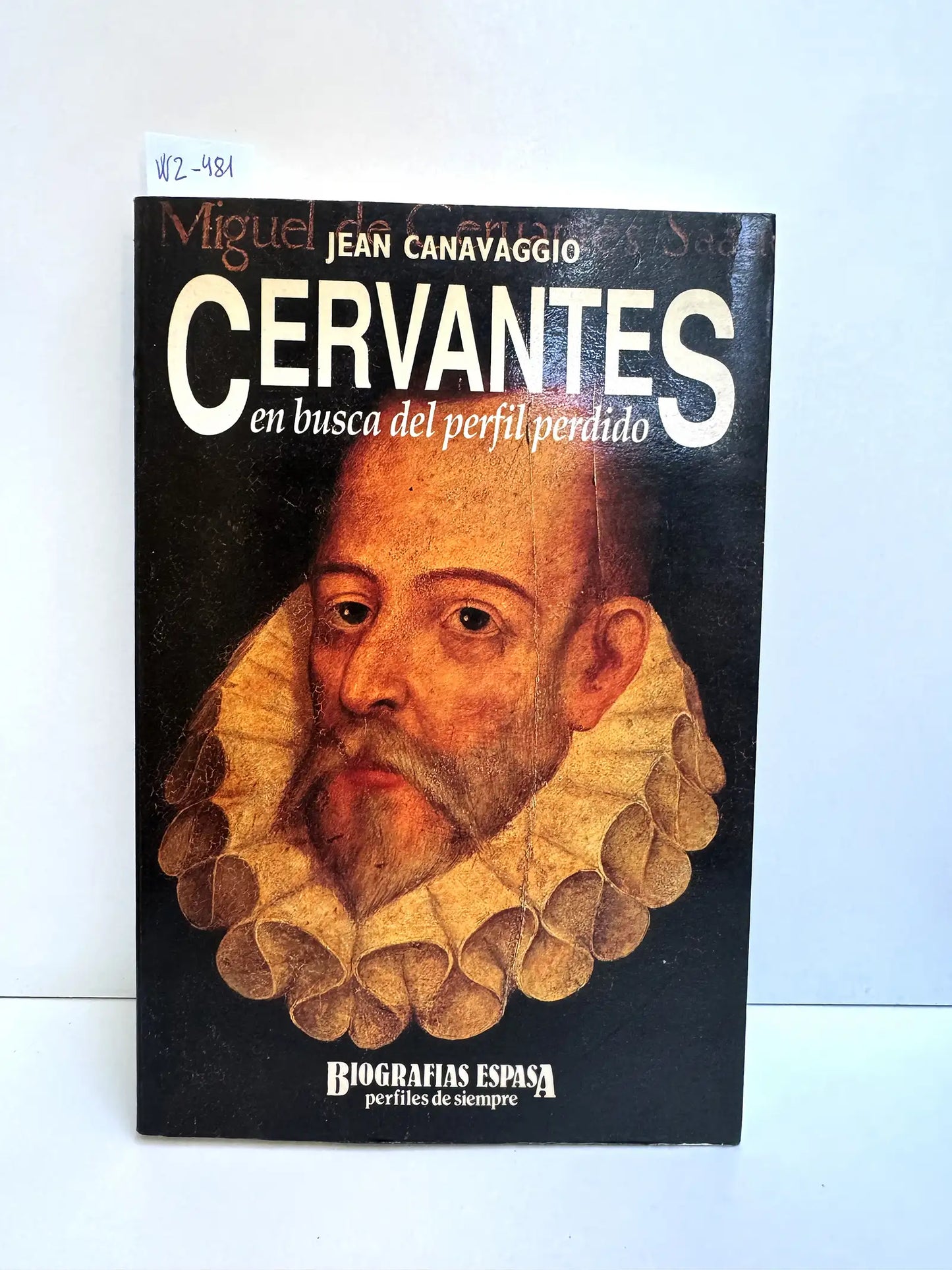 Cervantes. En busca del perfil perdido.