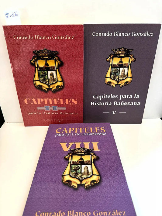Capiteles para la Historia Bañezana. nºs. II, V y VIII.