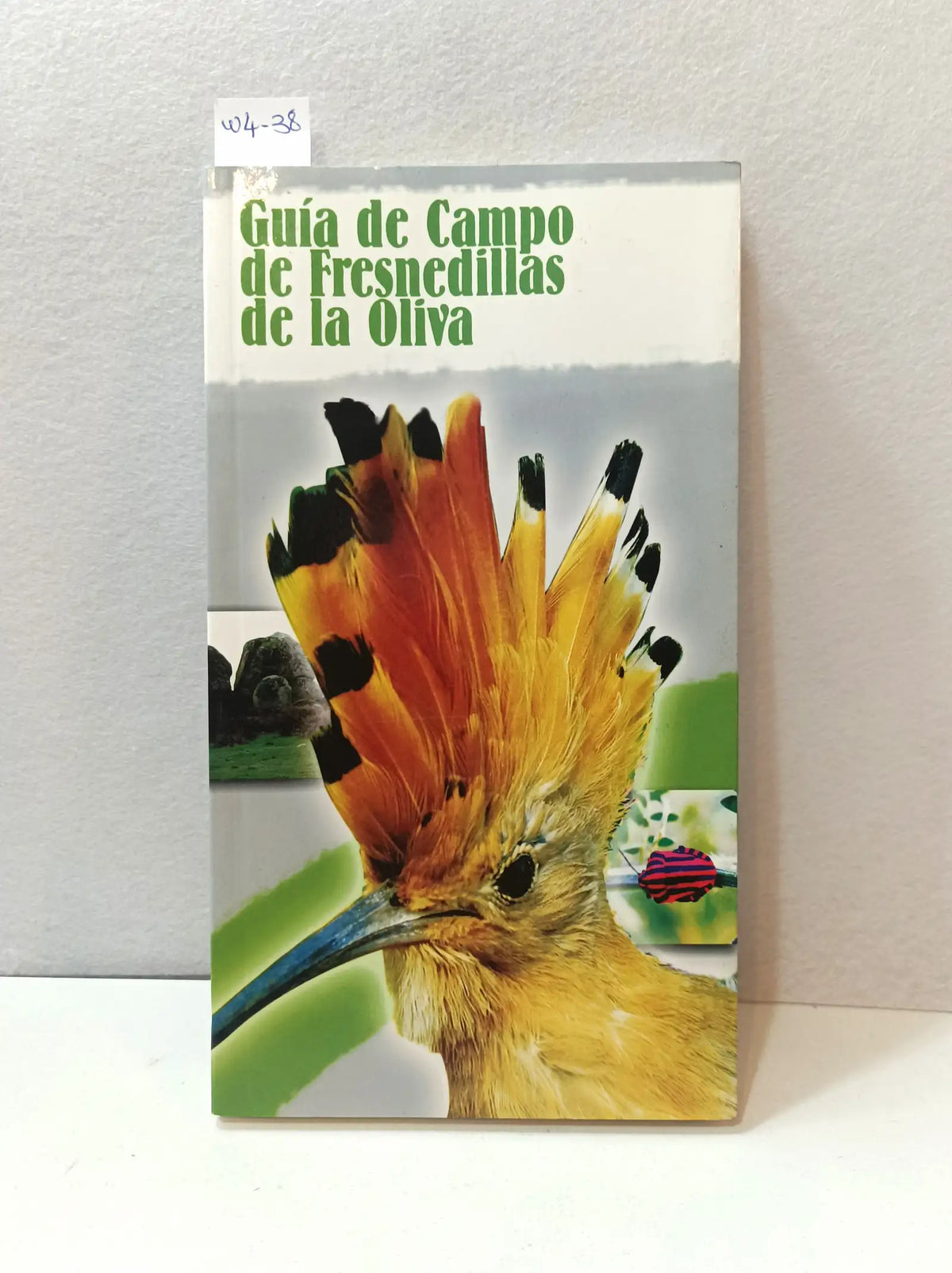 Guía de campo de Fresnedillas de la oliva. — Autores varios.