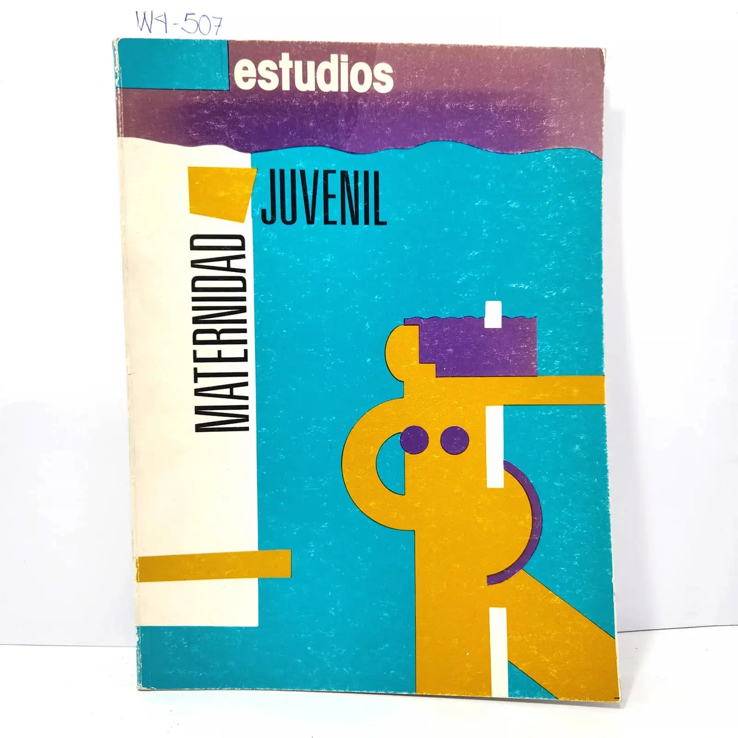 Estudios. Maternidad juvenil.