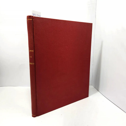 Curso de dibujo. Manual de Instrucciones. Lecciones de la 1 a la 19.