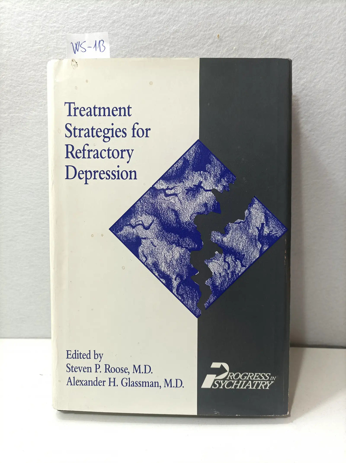 Treatment Strategies for Refractory Depression. — ROOSE, Steven P. and GLASSMAN, Alexander H.