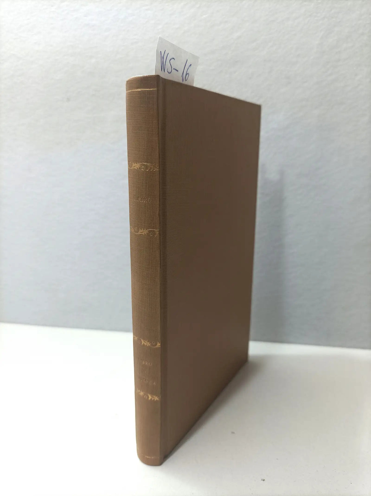 Libro de Sigüenza. — MIRÓ, Gabriel.