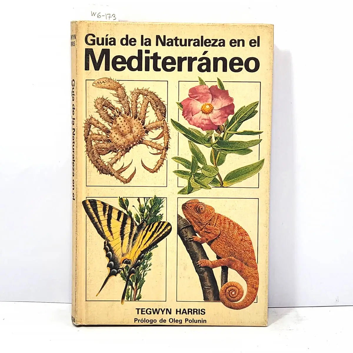 Guía de la Naturaleza en el Mediterráneo.