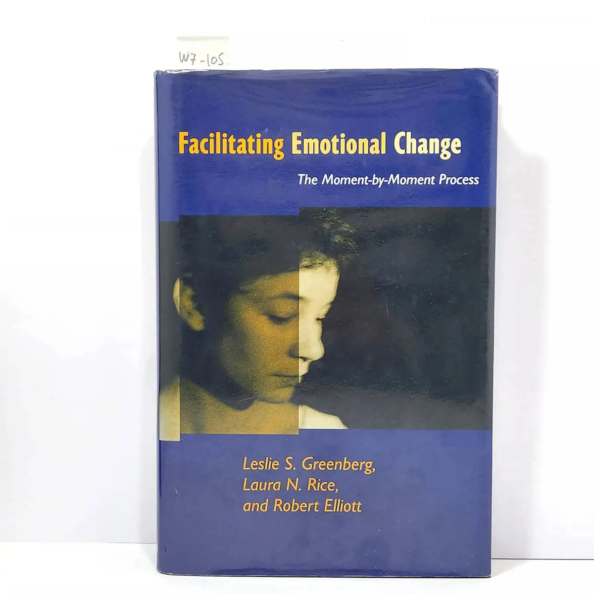 Facilitating Emotional Change. The Moment-by-Moment Process.